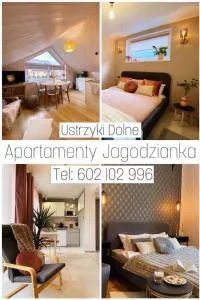 Apartamenty Jagodzianka - Jacuzzi, Sauna, Tężnia solankowa - Brzegi Dolne