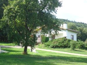 Maisons de vacances cottage pleine nature : photos des chambres