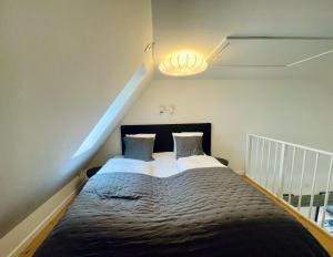 Large apartment in Lovely Urban Area in CPH Ø