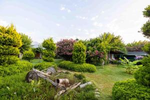 Etenna Beach Bungalows