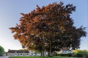 Maisons de vacances Bagatelle avec Jardin et Piscine Chauffee : photos des chambres