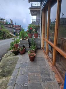 Himalayan Hidden Treasure