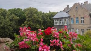 Apartaments - Liepu iela