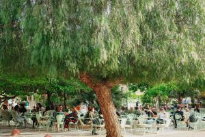 Academy Elegant Apartment #202