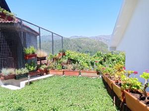 Gerês e Cabreira - Romoa Vintage Guest House