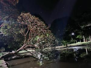 Casinha de Campo com Lago Sítio Luar do Sertão