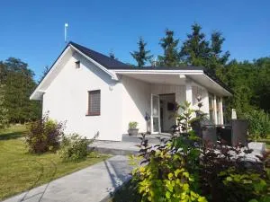 Budlejowy domek - Rekowo