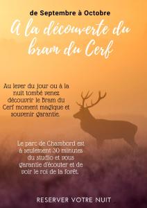 Studio en centre ville climatisé