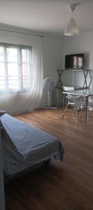 Appartements Studio vue chateau 100m etang, plage et halles : photos des chambres