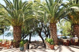 Hotel Molyvos I Lesvos Greece