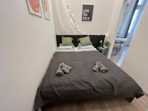 D58 Delux Apartments in the city center