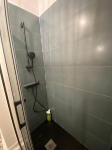 Appartements Corte magnifique T2 45m2 neuf 5 personnes place st marcel hyper centre wifi lave linge tv : photos des chambres