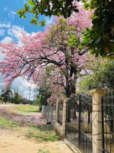 Casa de campo - Ruta Turquesa