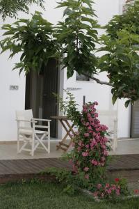 Asterias Skyros Greece