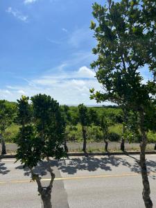 727セブンツーセブン石垣島ベース