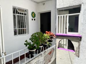 Condesa-Roma Norte Charming Mexican Style Apartment