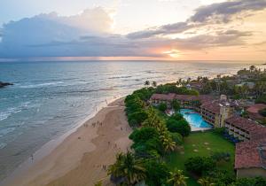 The Palms