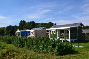 Słoneczne domki na Roztoczu - Guciów