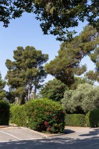 Hotels The Originals City, Hotel Cote Sud, Marseille Est (Inter-Hotel) : photos des chambres