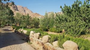 Fox Camp (Moses Lodge)
