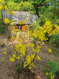 Littleduck bungalow Koh Chang Ranong