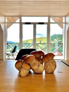 Friends house bukovel