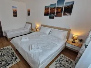 Ap CALAS No1 2A, Free Parking - Codlea