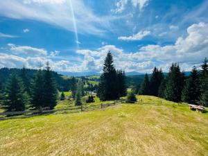 Lidia chalets