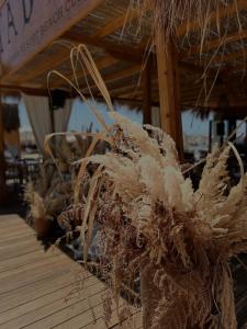 Apartament Beach Golem “Koka”