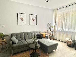 Charming Calliera 12 Apartment