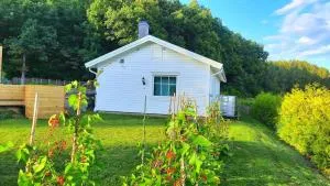 Boende - Stuga nära naturen, 3 km till Motala centrum, elbilsladdning finns på tomten - privat värd - Fornåsa