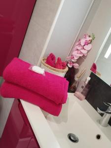 Appartements Lea , La Clef du Bonheur - 9 Min de Disney Jardin privatif : photos des chambres