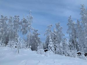 VILLA RIIHITONTTU MUURAME RIIHIVUORI