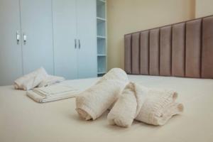 Luxury Apartment at Myslym Shyri