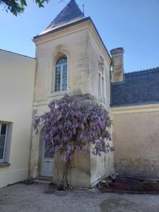 Appartements La Grelauderie 1 : photos des chambres