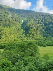 Meydan Şelale Dağ Evi