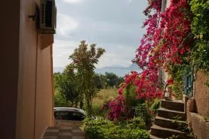 Mannou House - Ligia