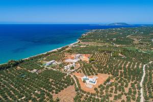 Rikia Deluxe Houses