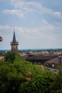 Appartements Le Nichoir de la Colline - Parking & Wifi : photos des chambres