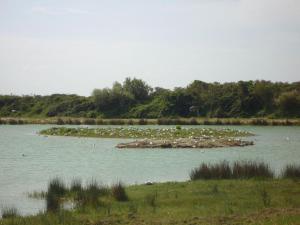 Maisons de vacances Charming holiday home in the Baie de Somme : photos des chambres