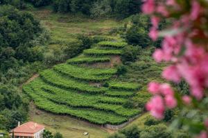 Casa do Rosário by An Island Apart