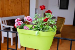 Floasiu Residence Guesthouse