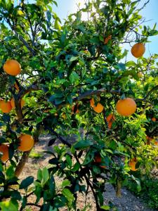 Apartamento Horizonte Azul Cullera