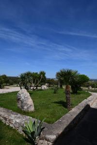 Fattoria La Traccia img36