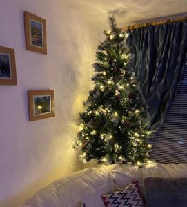 Springer Villa, 2 bed, Newquay