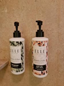 Partial Nile View 2 Bedroom Appartment in Zamalek Cairo Newly Renovated