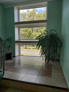 "Veiklus Rietavas" apgyvendinimas