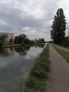 Appartements elegant-10min strasbourg-NBSimmo : photos des chambres