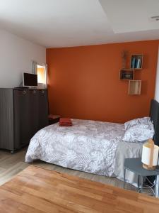 Appartements studio calme universite Le Mans : photos des chambres