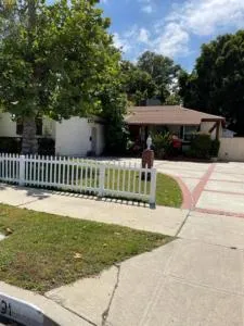 Summer Leaf - Northridge